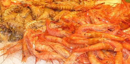 Mariscos_ricos_en_antioxidantes