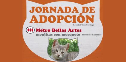 Jornada_de_Adopcion_Rescate_Felino