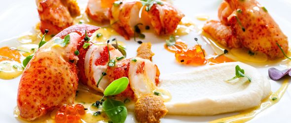 Macro close up of Lobster with orange caviar and seafood dressings.