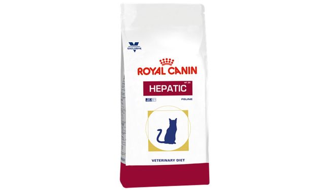 hepatic-feline