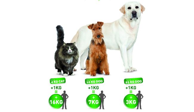 RC-POSTER-dog_cat vs human-40x60.indd