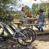 Viu Manent picnic + Ebike