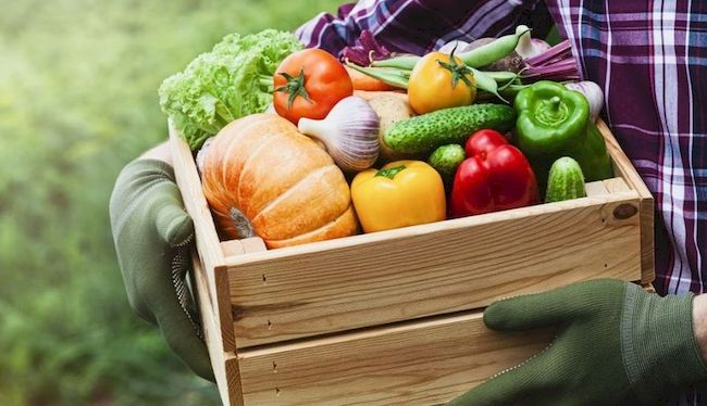 La Vega Delivery - Conservar frutas y verduras